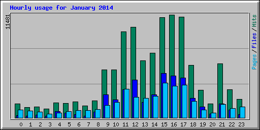 Hourly usage for January 2014