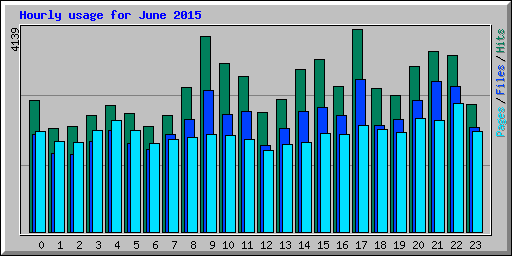 Hourly usage for June 2015