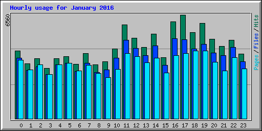 Hourly usage for January 2016