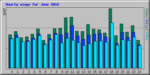 Hourly usage for June 2016