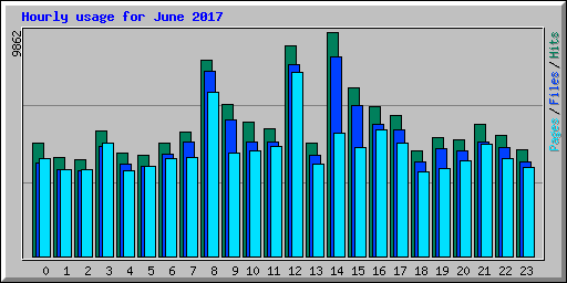 Hourly usage for June 2017