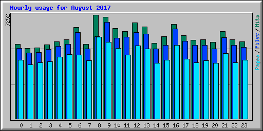 Hourly usage for August 2017