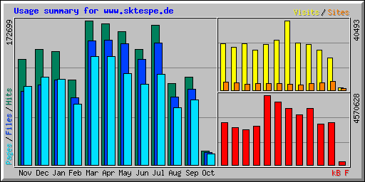 Usage summary for www.sktespe.de